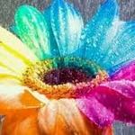 ماساژ کوروش