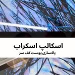 مرکز تخصصی اسکالپ و فیشال دینا شبانی