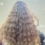 خدمات احیا و صافی پریا