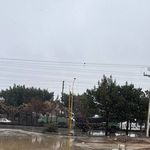 ✅ بهترین باربری اصفهان علی نجاتی
