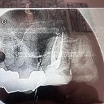 مطب دندانپزشکی دکتر پیمان رستمیان