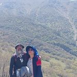 داروخانه گیاهپزشکی پردیس