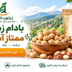 فروشگاه اينترنتي آكزين كالا