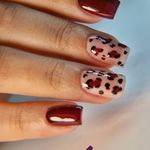 خدمات ناخن میا شریعتی