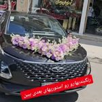 نانالند