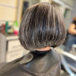 رنگ و لایت ژیلا امیری