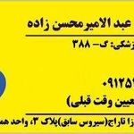 گفتاردرمانی امیر محسن زاده