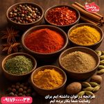 زرین چاشنی دنا