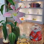 خدمات تخصصی ماساژ نظریان