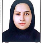 وکیل مینا عسکری مهر