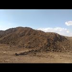 فروش عمده کود حیوانی شرکت سمناک