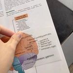 دکتر روانشناس روان درمانگر سمیرا انصاری