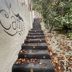 اقامتگاه جنگلی کامیلا