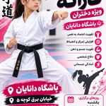 باشگاه رزمی دانایان