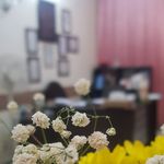 مطب مامایی و زنان و زایمان