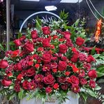 گل نابلس فروش انواع گل طبیعی