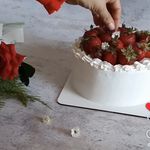 کیک و شیرینی خانگی(تولد،کافه،دسر)حفیظی