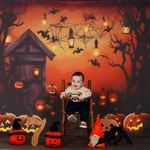 دید نو فردیس