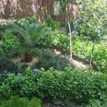 شرکت سمپاشی شیمی گستر