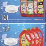 تولید و فروش محصولات شوینده رپول