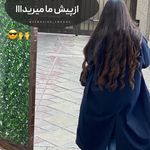 اکستنشن ونوس