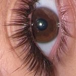 اکستنشن مژه و لیفت ابرو مژینا