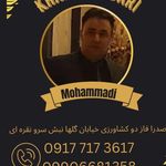 املاک خانه پدری صدرا «محمدی»