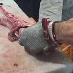 پخش راسته و فیله گوسفندی و گوساله علی