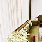 خدمات نظافت درنیکا ایرانیان