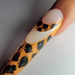 آکادمی ناخن فلامینگو