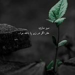 خدمات تخصصی آرایش دائم و ریموو فرشته حمیدی