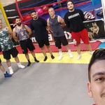 کلاب بوکس شاهین