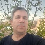 وکیل مجید کردلو