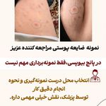 دکتر امیدرضا خدادادی