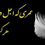 نمایندگی بیمه پاسارگاد تهران کد 72338