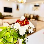 خدمات نظافت درنیکا ایرانیان