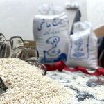 مزرعه برنج