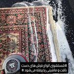 قالیشویی و مبل‌شویی تخصصی پازیر