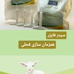 نانوفناوران گیتی دام