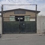 پخش رنگ اتحاد