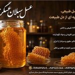 فروشگاه عسل سبلان عسگری