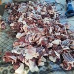 گوسفندزنده