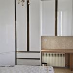 ام . دی .اف فرجی