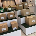 فروش محصولات اشنایدر الکتریک