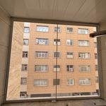 توری مدرن و شکیل‌ در و پنجره آیین