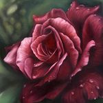 آکادمی هنری رنگارا