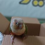 کلینیک حیوانات خانگی دکتر زند در ملایر