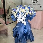 سالن زیبایی الشین