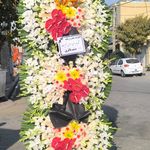 گلفروشی آنلاین ایرانیان با ارسال رایگان