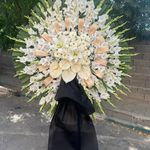 گل فروشی دنیز (آنلاین) -ارسال فوری